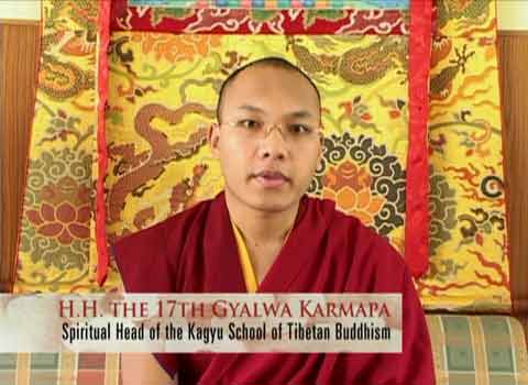 
17th Karmapa - Teachings on Milarepa DVD
